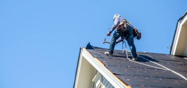 Best Storm Damage Roof Repair  in Blasdell, NY